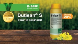 Butisan® S - kvalitetna zaštita uljane repice od korova