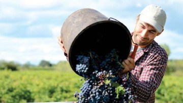 Voćarstvo i vinogradarstvo 2021
