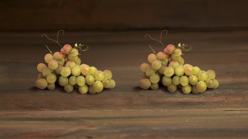 Revyona® - Bolja i drugačija zaštita vinove loze
