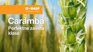 Caramba