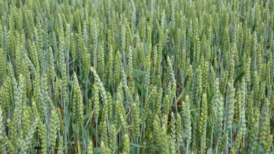 Inovativne tehnologije zaštite