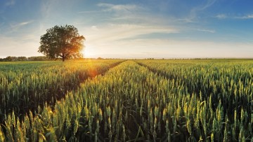 Preuzimanje dokumenata o proizvodima 