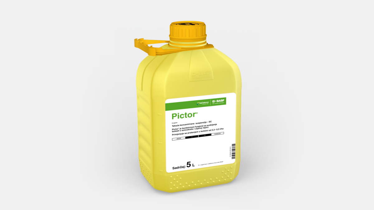 Pictor® - 58086310