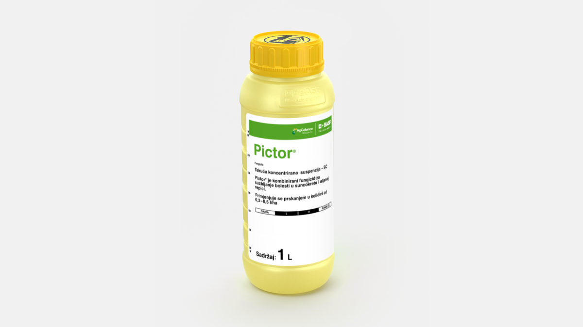 Pictor® - 58950015