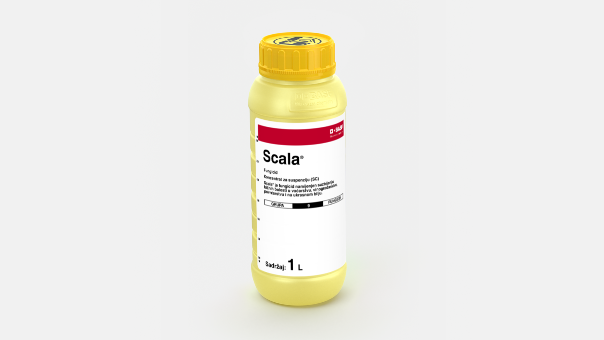 Scala® - 58046390