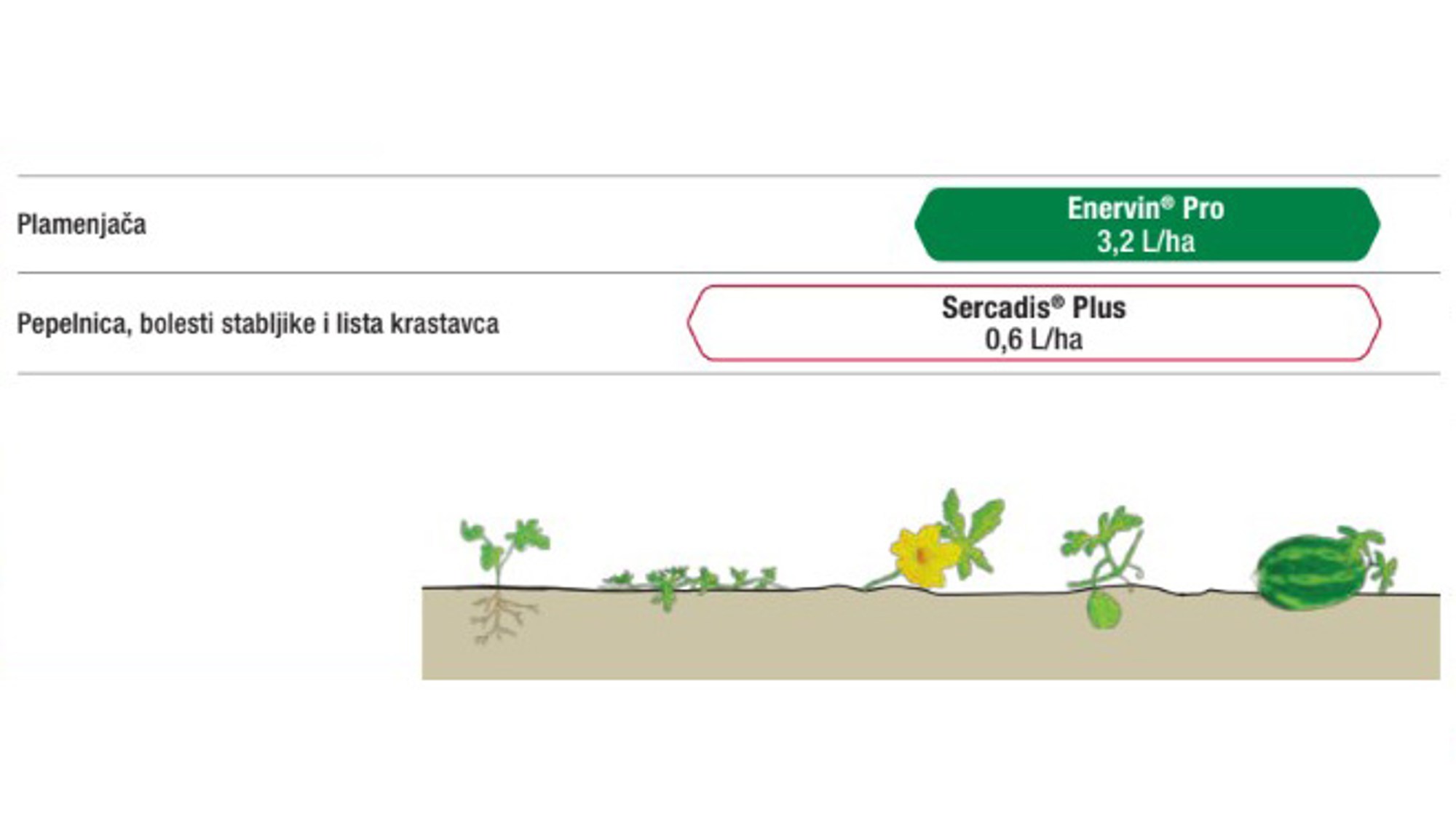 Preporuka za primjenu u programu zaštite lubenice