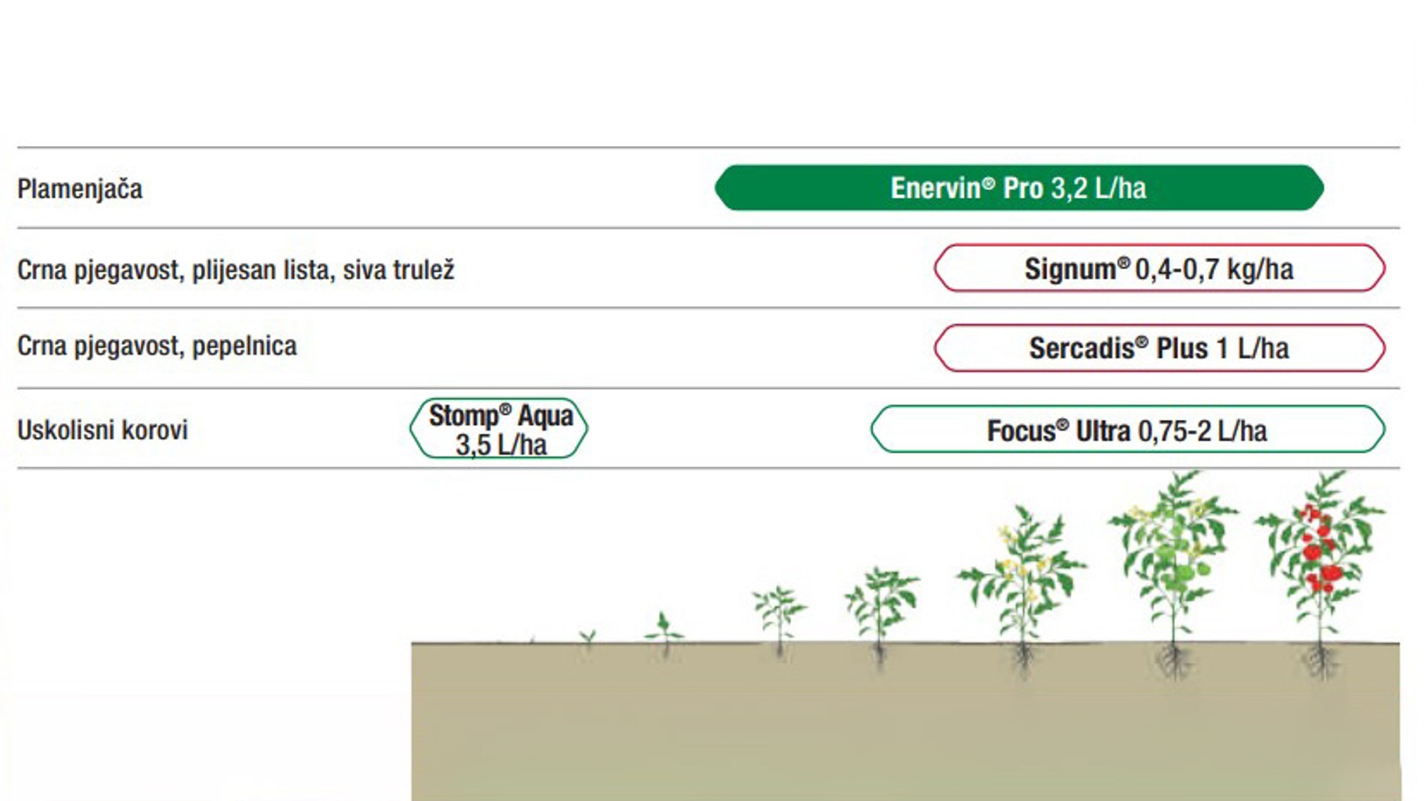 Preporuka za primjenu u programu zaštite rajčice
