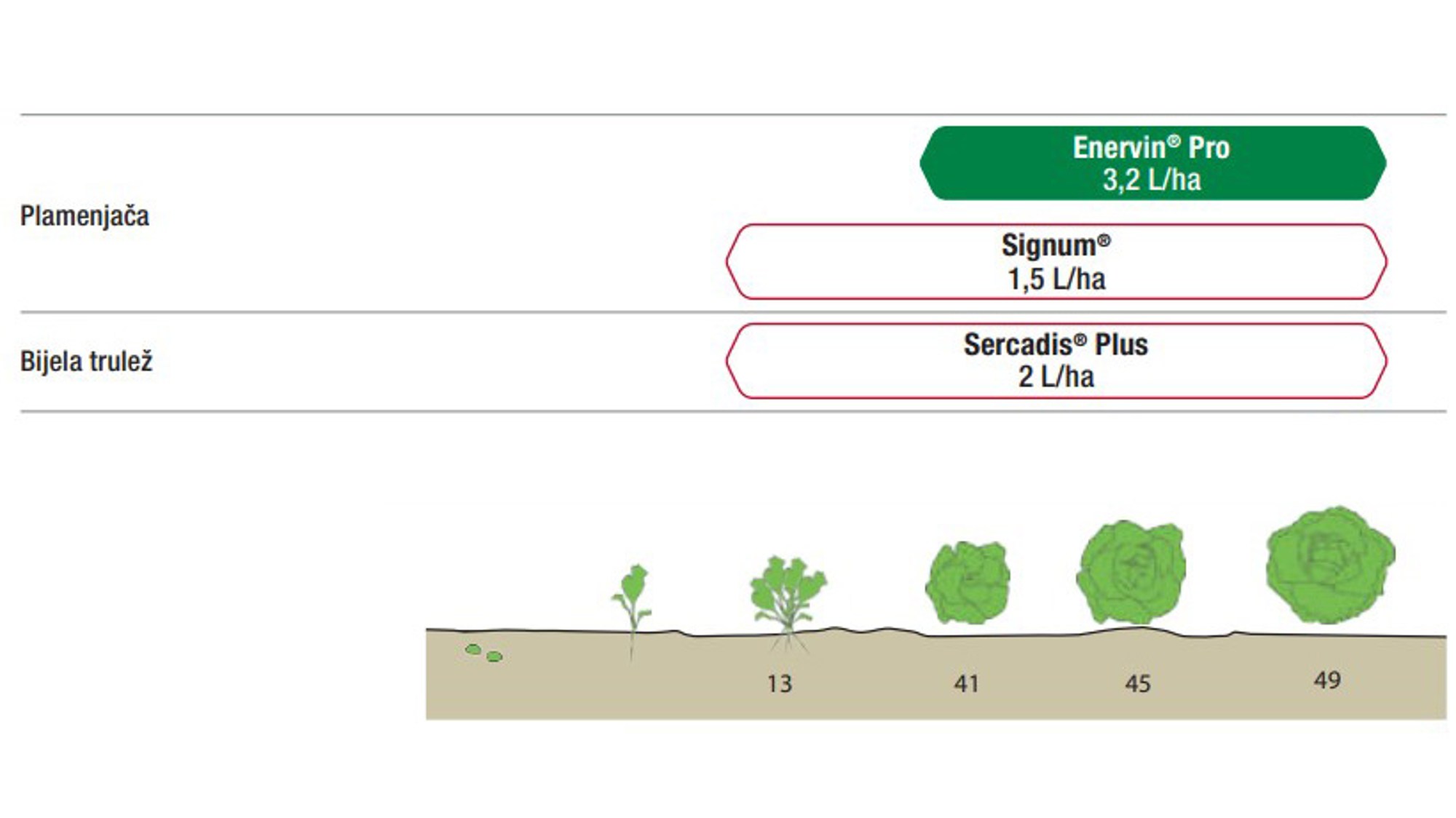 Preporuka za primjenu u programu zaštite zelene salate