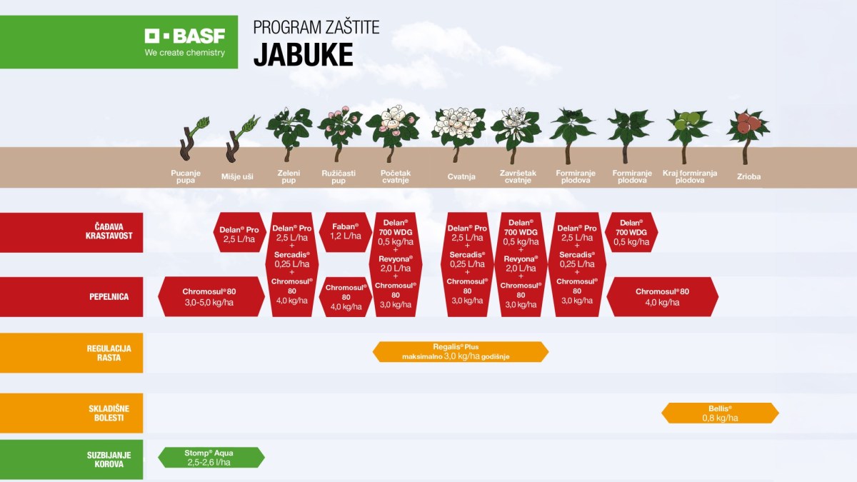 Program Zastite Jabuke