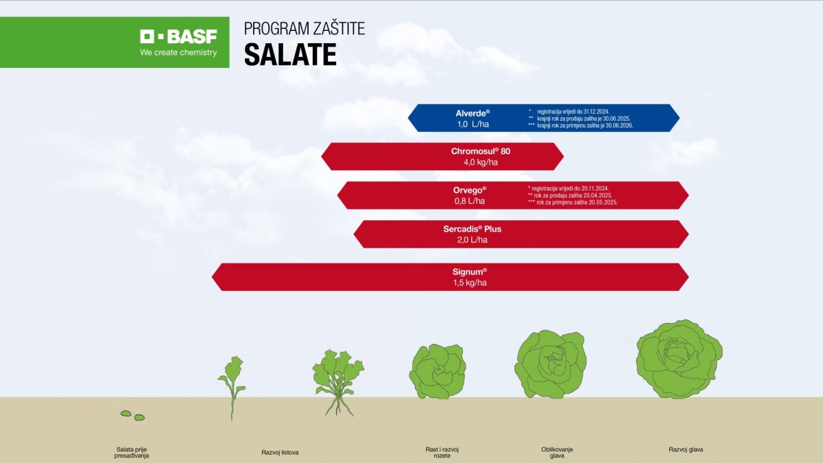 Program zaštite zelene salate