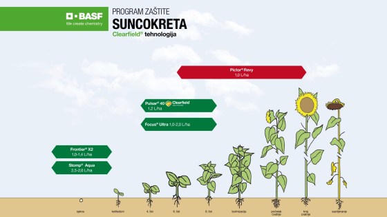 Program zaštite suncokreta Clearfield® tehnologija