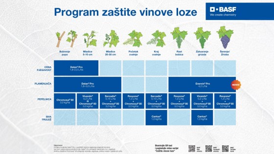 Program zaštite vinove loze