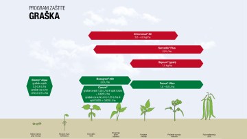 Program zaštite graška