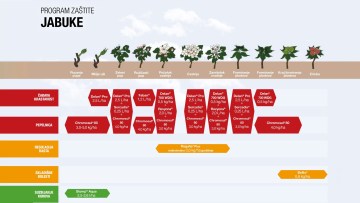 Program zaštite jabuka