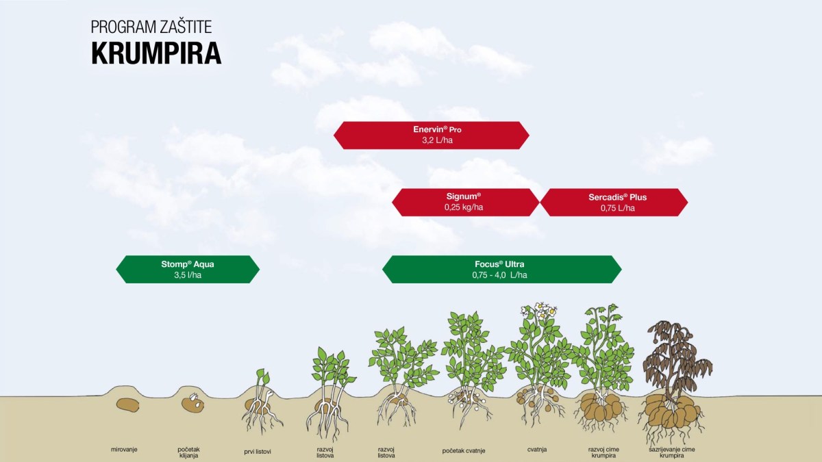Program zaštite luka