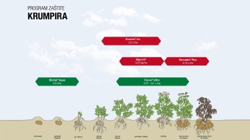 Program zaštite krumpira