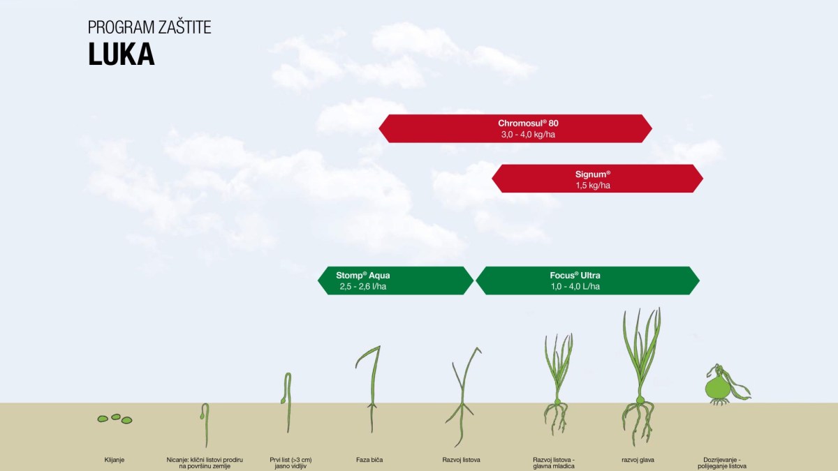 Program zaštite luka
