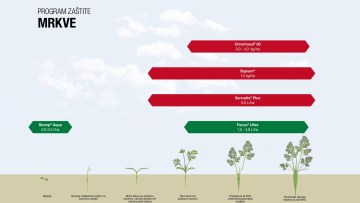 Program zaštite mrkve