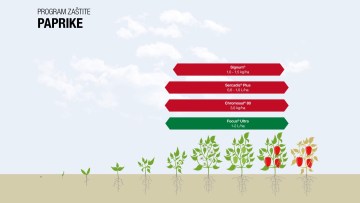 Program zaštite paprike
