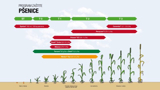 Program zaštite pšenice