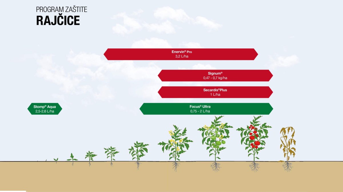 Program zaštite luka