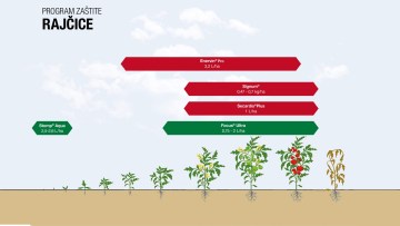 Program zaštite rajčice