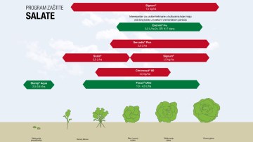 Program zaštite salate