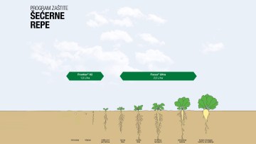 Program zaštite šećerne repe