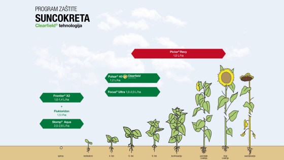 Program zaštite suncokreta Clearfield® tehnologija