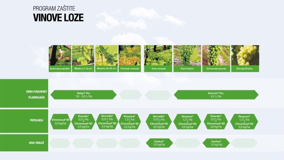 Program zaštite vinove loze
