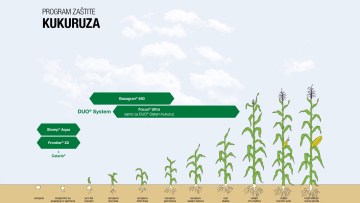 Program zaštite kukuruza