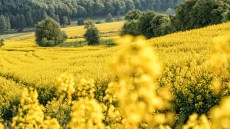 Konvencionalna tehnologija proizvodnje 