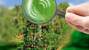 Delan® Pro - proaktivna zaštita vočnjaka 